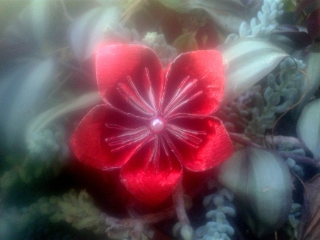 flor vermella fermalls